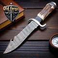 Custom 12" Damascus Knife – Stag Horn Gut Hook bowie Knife
