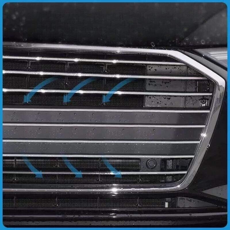 Bug Guard for Geely Riddara RD6
