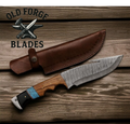 Damascus Steel For Sale – Hunting Gut Hook Knife 9"