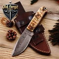 Handmade Damascus Hunting Knife with Sheep Horn Handle