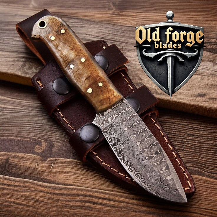 Handmade Damascus Hunting Knife with Sheep Horn Handle